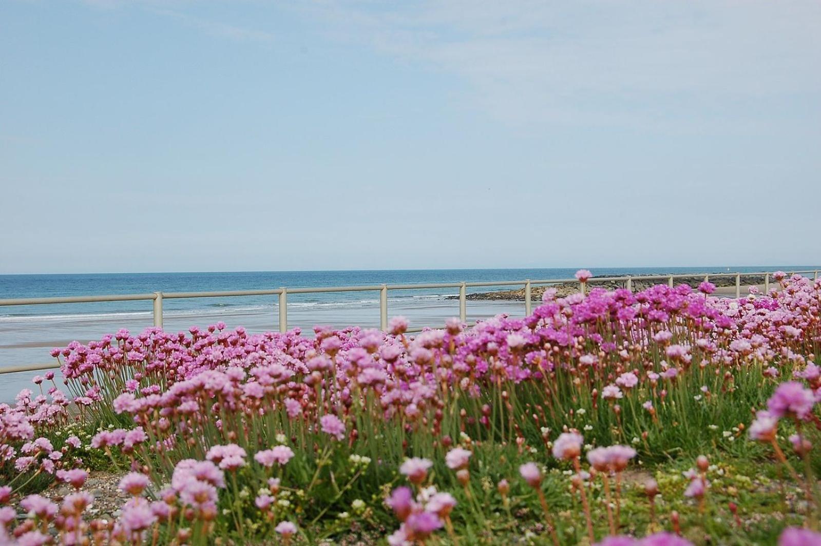 Caravan 309 Bryn Y Mor Beach Side Park Тевін Екстер'єр фото